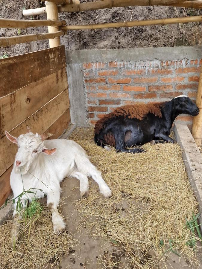 Appartamento Limon Salento Esterno foto